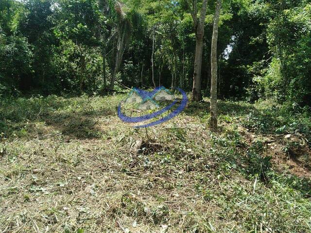 #166 - Área para Venda em Campo Limpo Paulista - SP